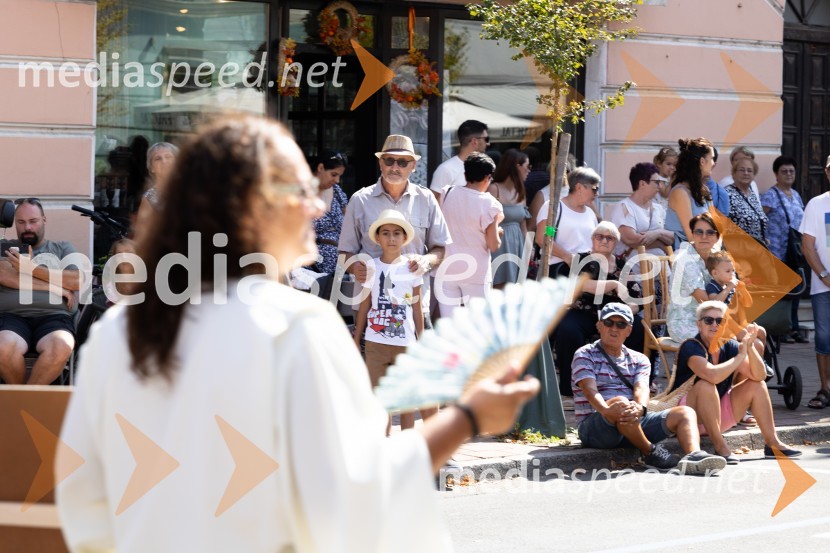 45. Lendavska trgatev 2024