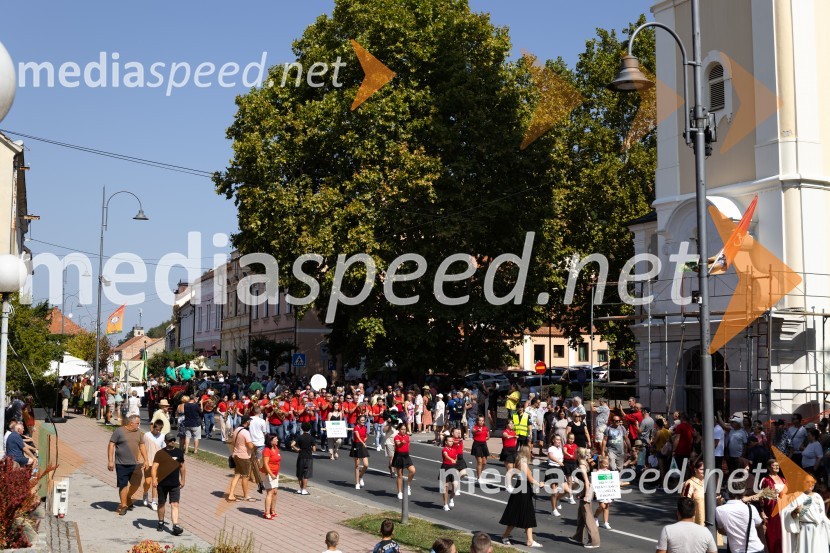 45. Lendavska trgatev 2024