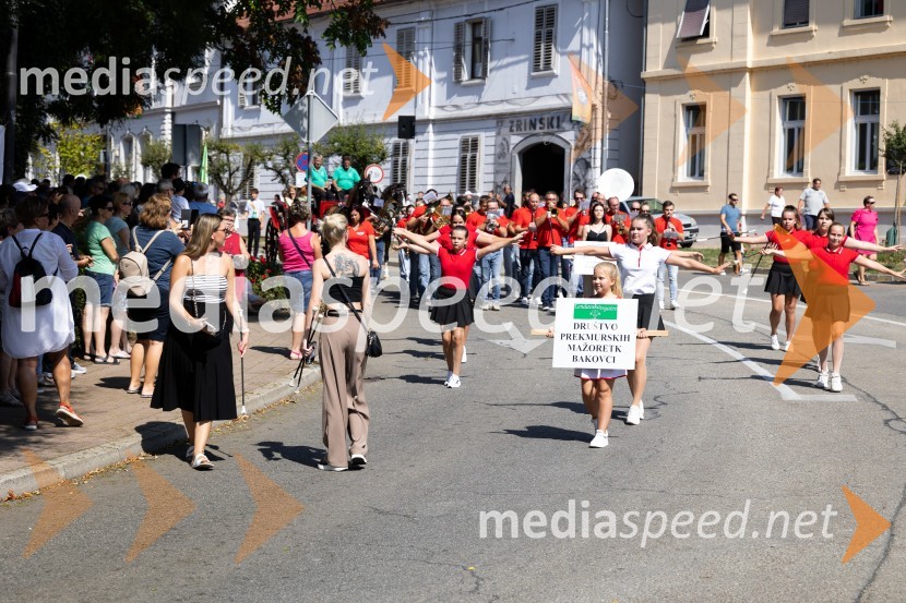 45. Lendavska trgatev 2024