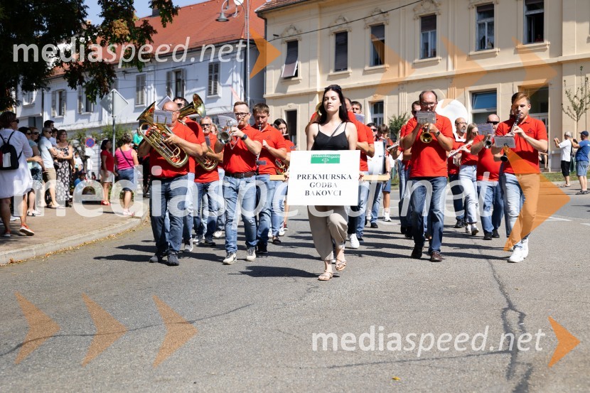 45. Lendavska trgatev 2024