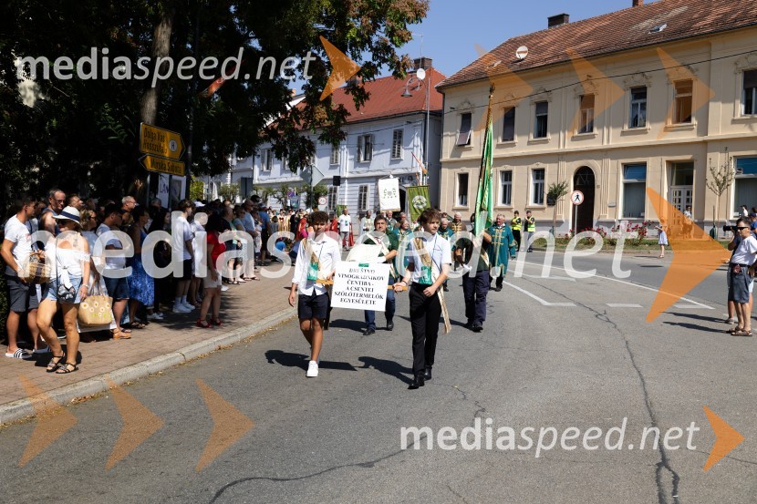 45. Lendavska trgatev 2024