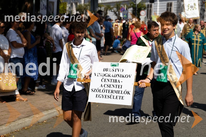 45. Lendavska trgatev 2024