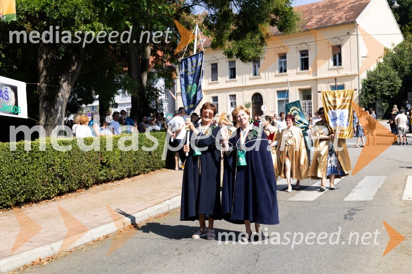 45. Lendavska trgatev 2024