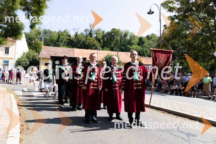 45. Lendavska trgatev 2024