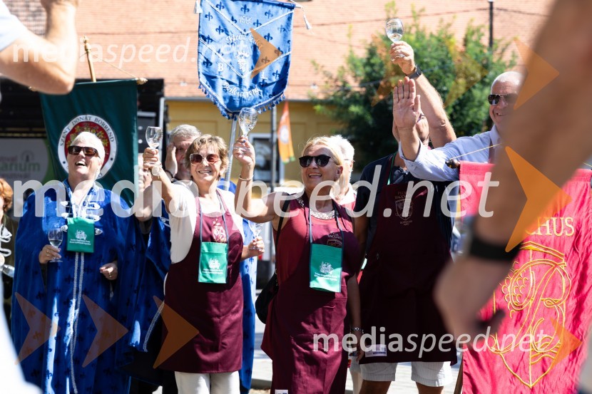 45. Lendavska trgatev 2024