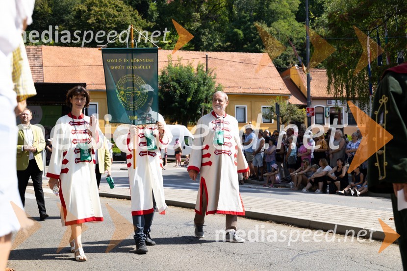 45. Lendavska trgatev 2024