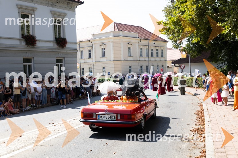 45. Lendavska trgatev 2024