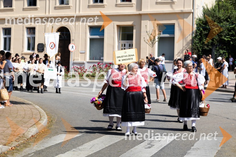 45. Lendavska trgatev 2024