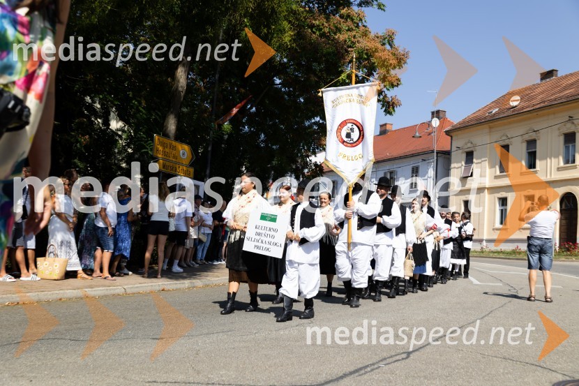 45. Lendavska trgatev 2024