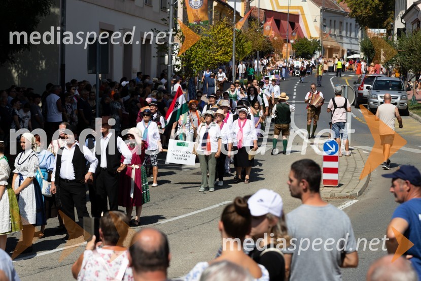 45. Lendavska trgatev 2024