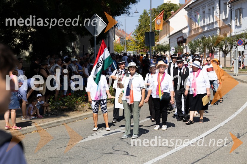 45. Lendavska trgatev 2024