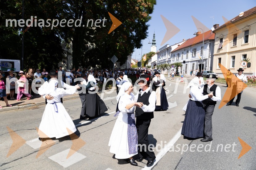 45. Lendavska trgatev 2024