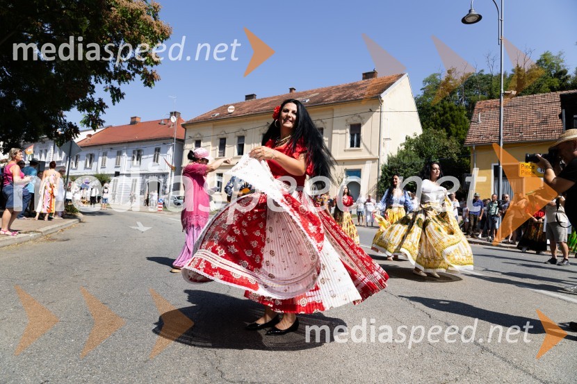 45. Lendavska trgatev 2024