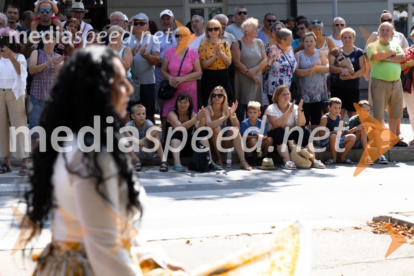 45. Lendavska trgatev 2024