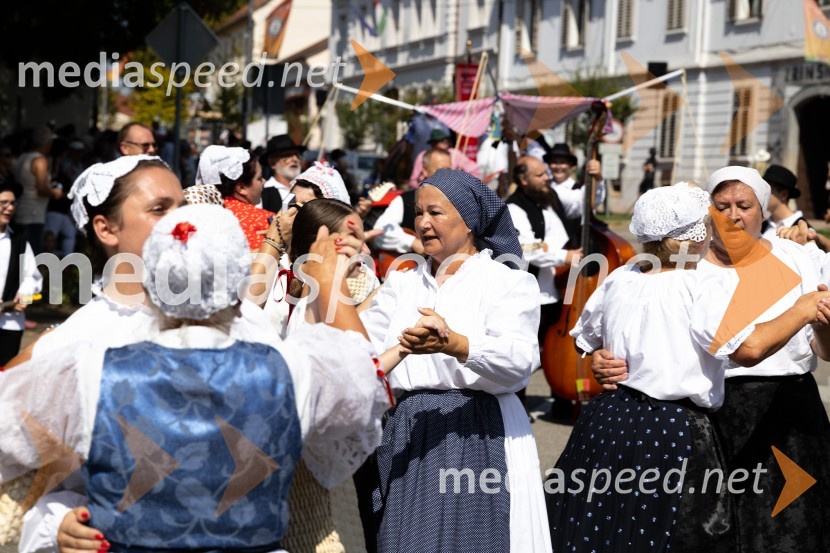 45. Lendavska trgatev 2024