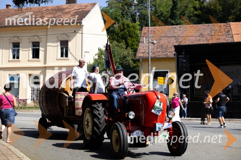 45. Lendavska trgatev 2024