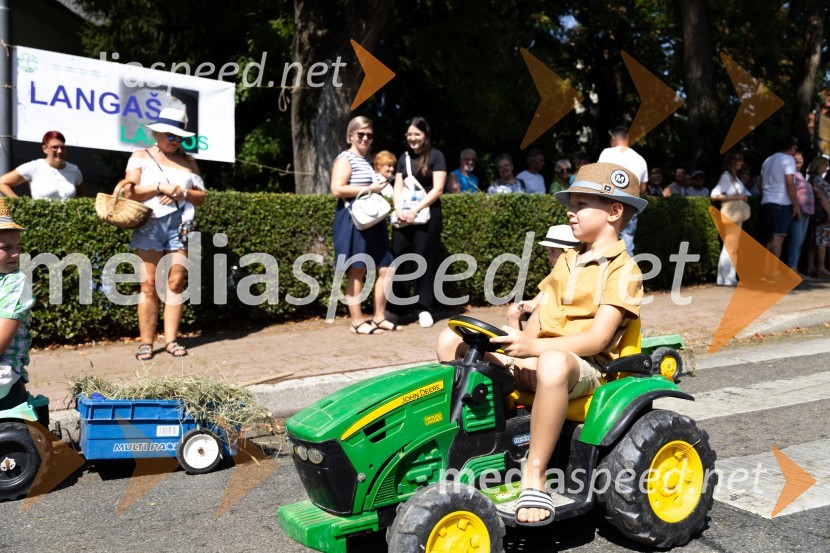 45. Lendavska trgatev 2024