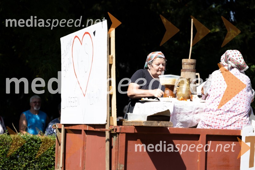 45. Lendavska trgatev 2024