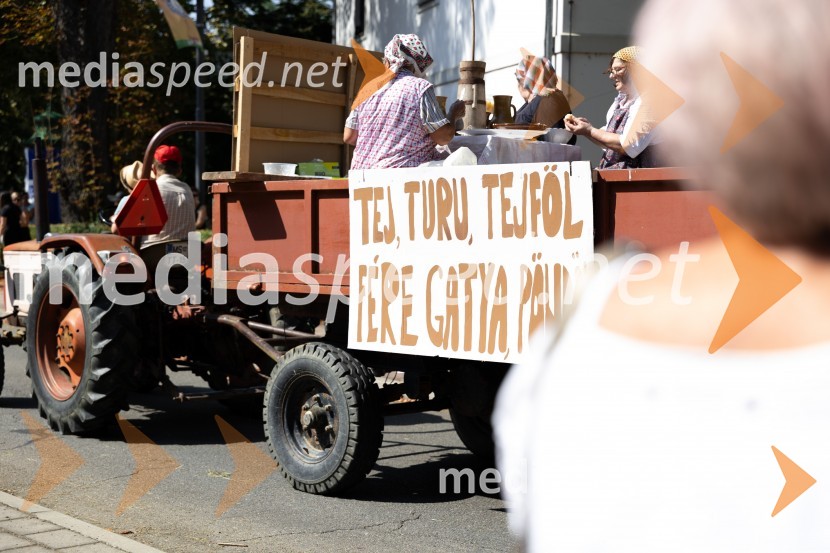 45. Lendavska trgatev 2024