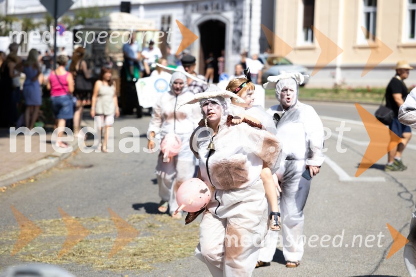 45. Lendavska trgatev 2024