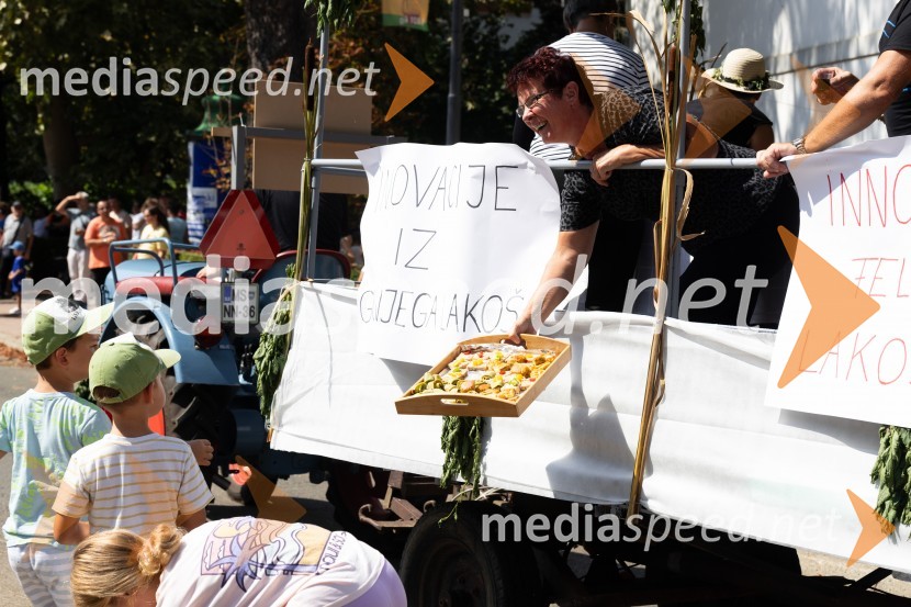 45. Lendavska trgatev 2024