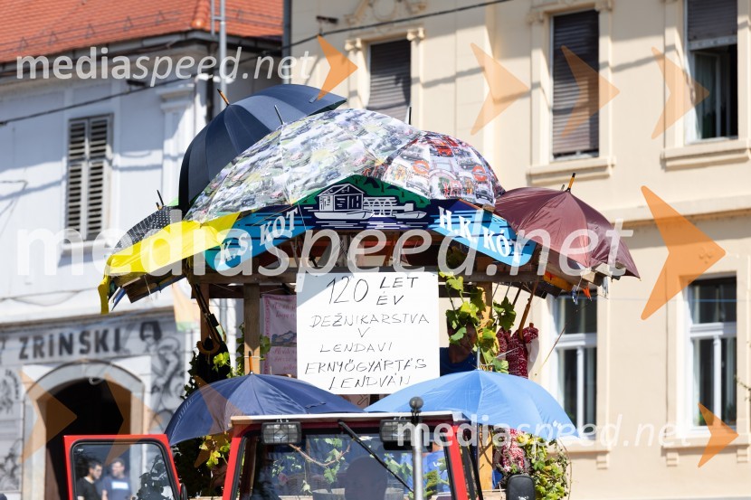 45. Lendavska trgatev 2024