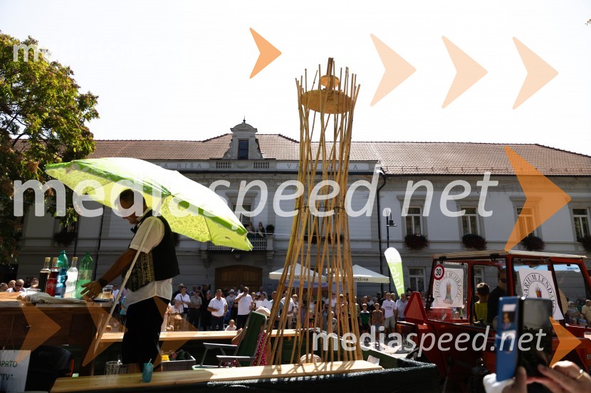 45. Lendavska trgatev 2024