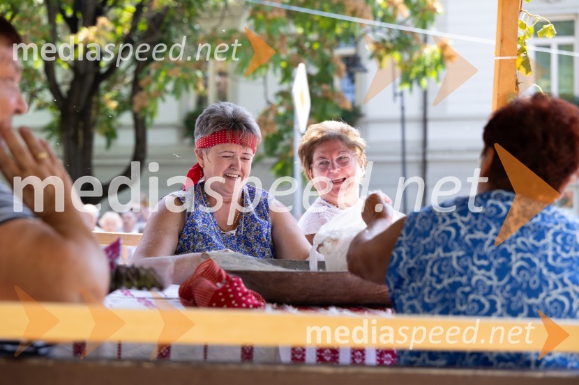 45. Lendavska trgatev 2024