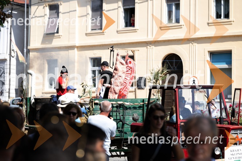 45. Lendavska trgatev 2024