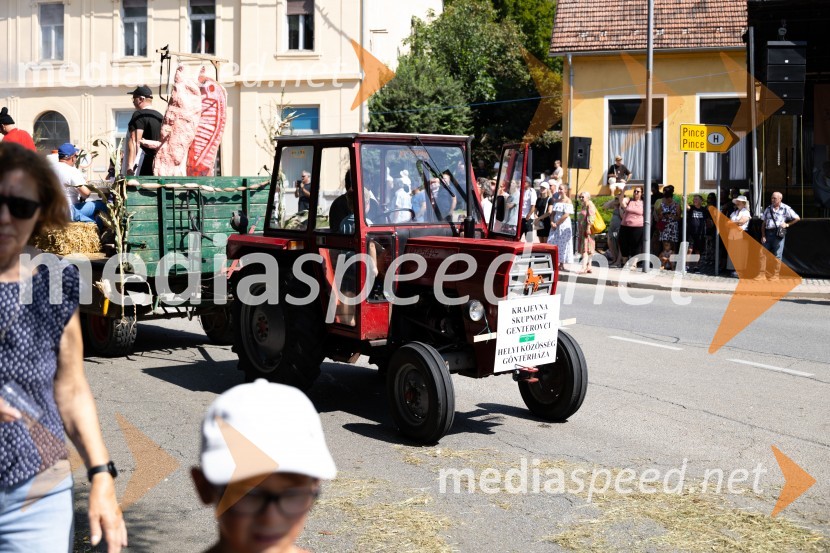 45. Lendavska trgatev 2024