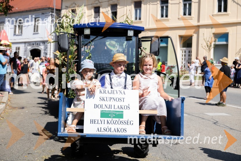 45. Lendavska trgatev 2024