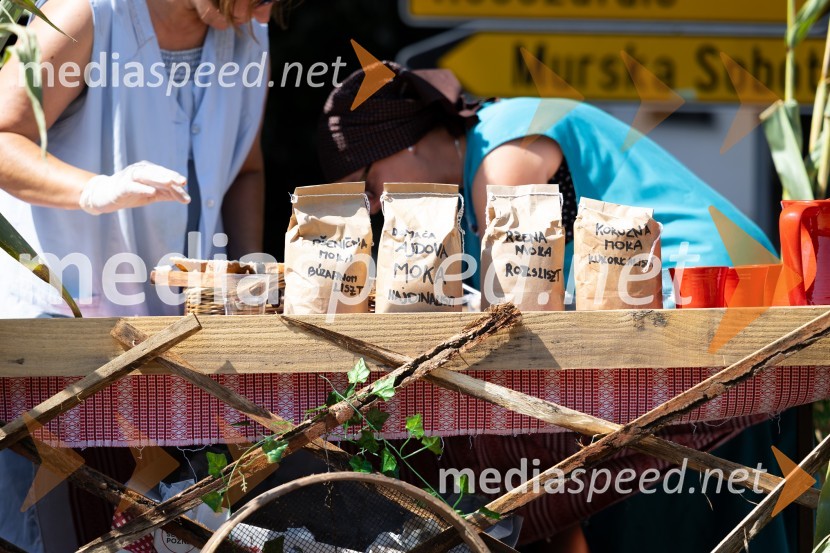 45. Lendavska trgatev 2024