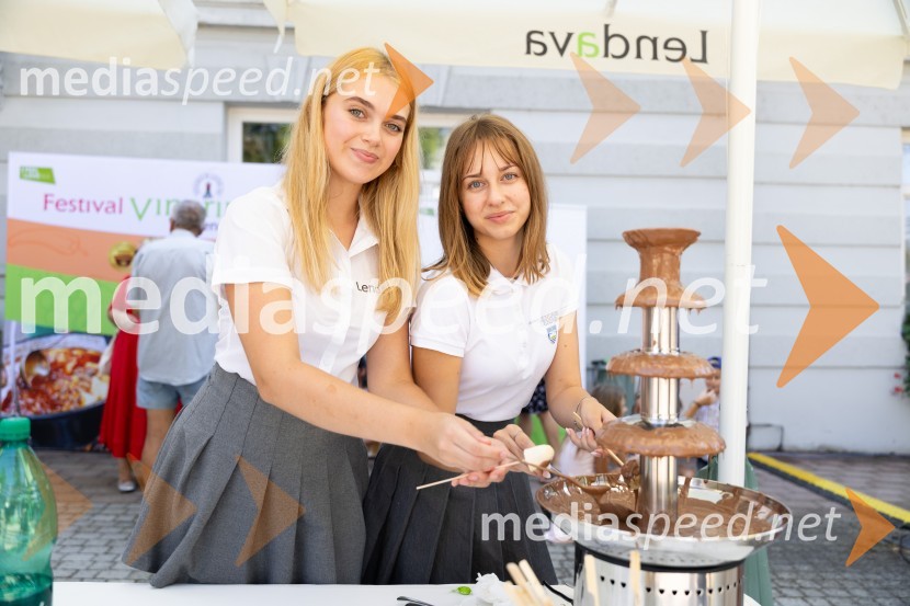 45. Lendavska trgatev 2024