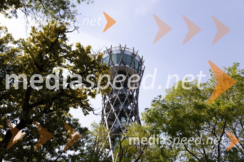 45. Lendavska trgatev 2024