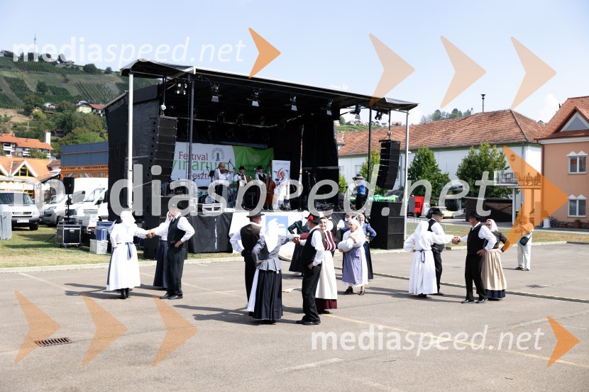 45. Lendavska trgatev 2024