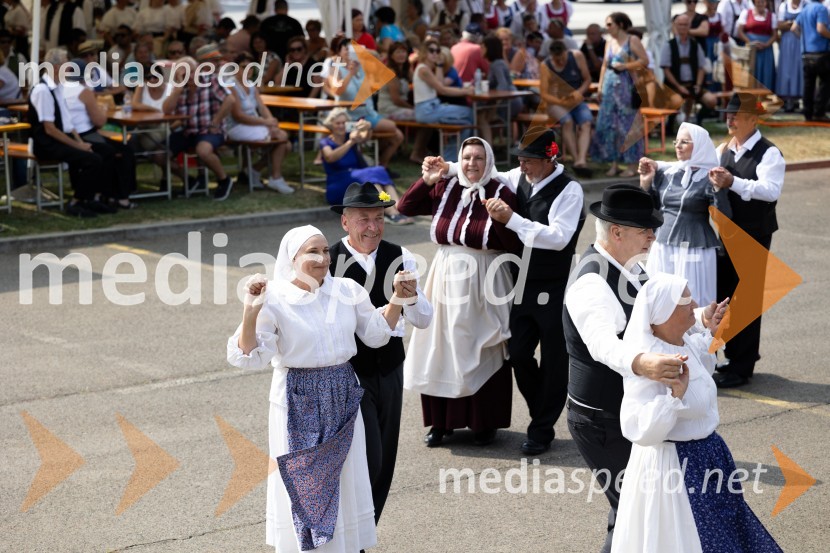 45. Lendavska trgatev 2024