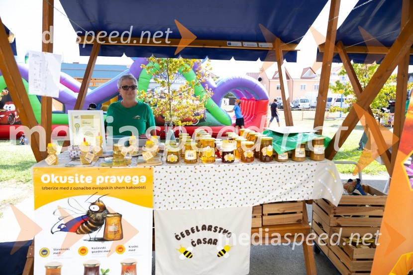 45. Lendavska trgatev 2024