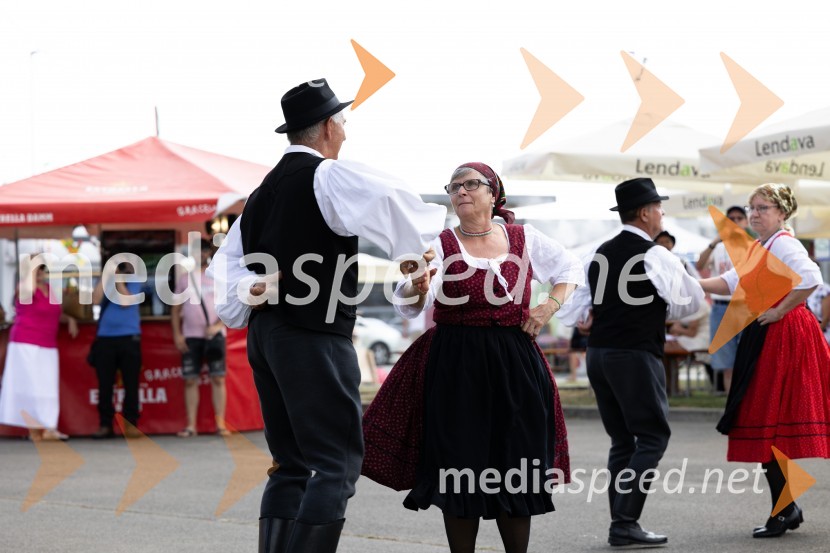 45. Lendavska trgatev 2024