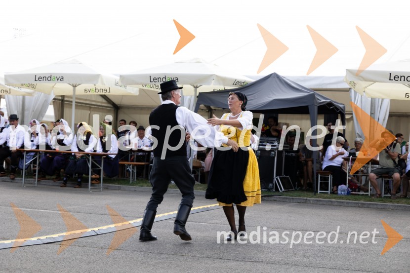 45. Lendavska trgatev 2024