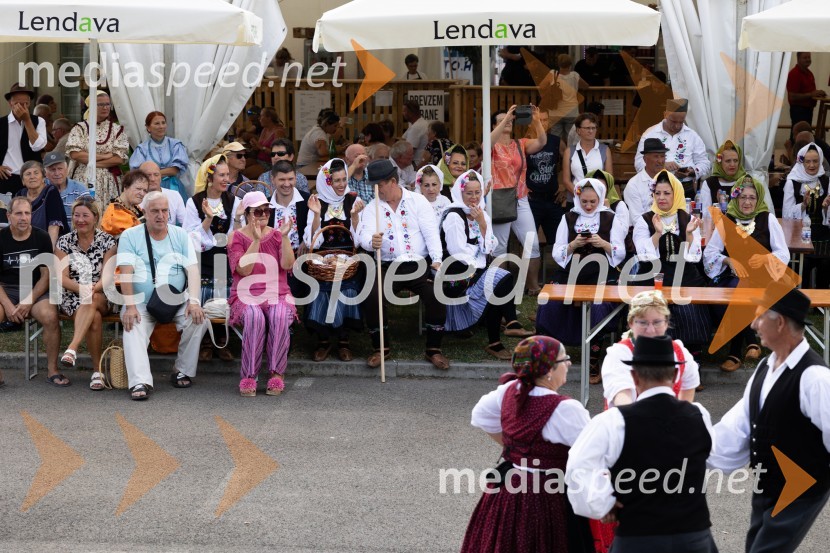 45. Lendavska trgatev 2024