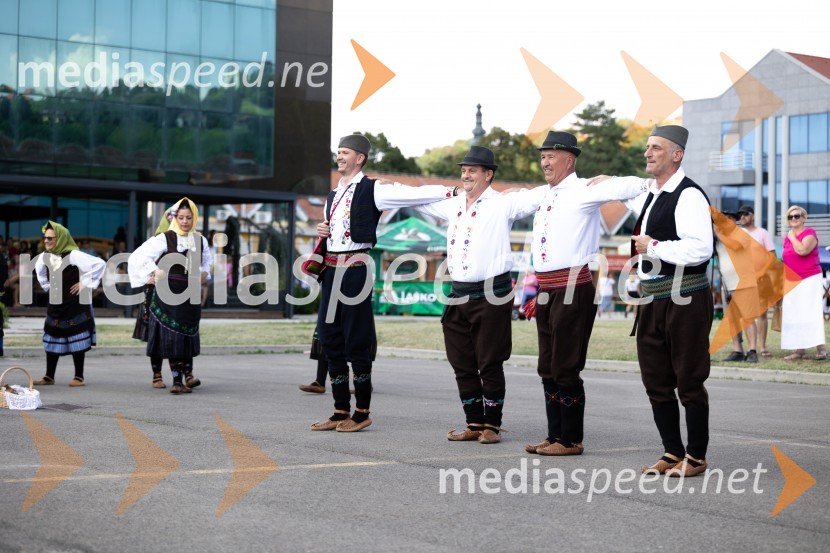 45. Lendavska trgatev 2024