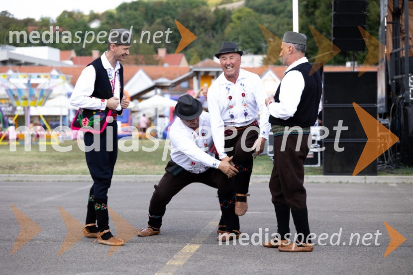 45. Lendavska trgatev 2024