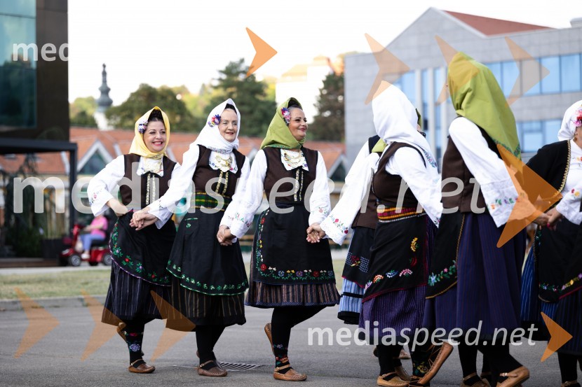 45. Lendavska trgatev 2024