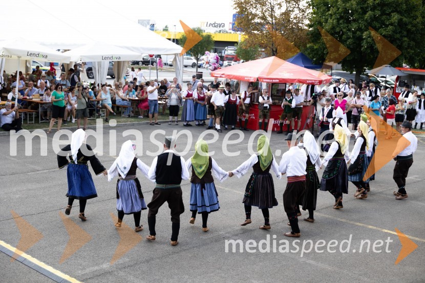 45. Lendavska trgatev 2024