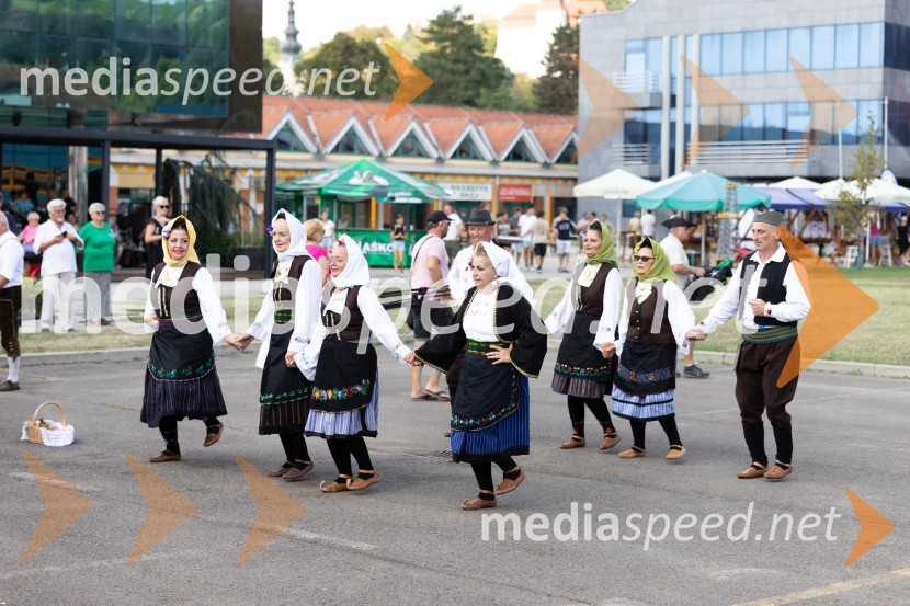 45. Lendavska trgatev 2024