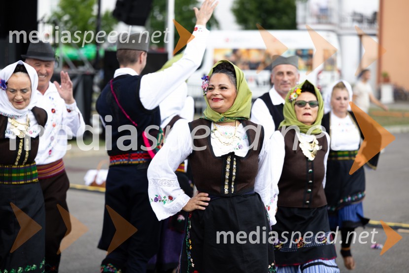 45. Lendavska trgatev 2024