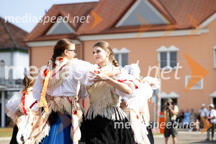 45. Lendavska trgatev 2024