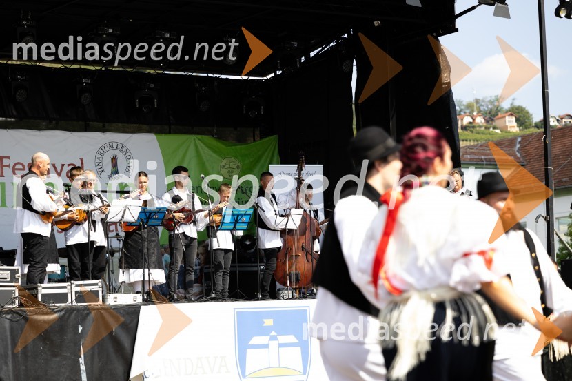 45. Lendavska trgatev 2024