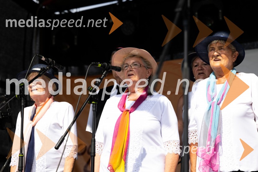 45. Lendavska trgatev 2024