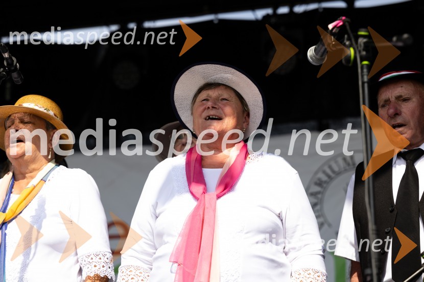 45. Lendavska trgatev 2024